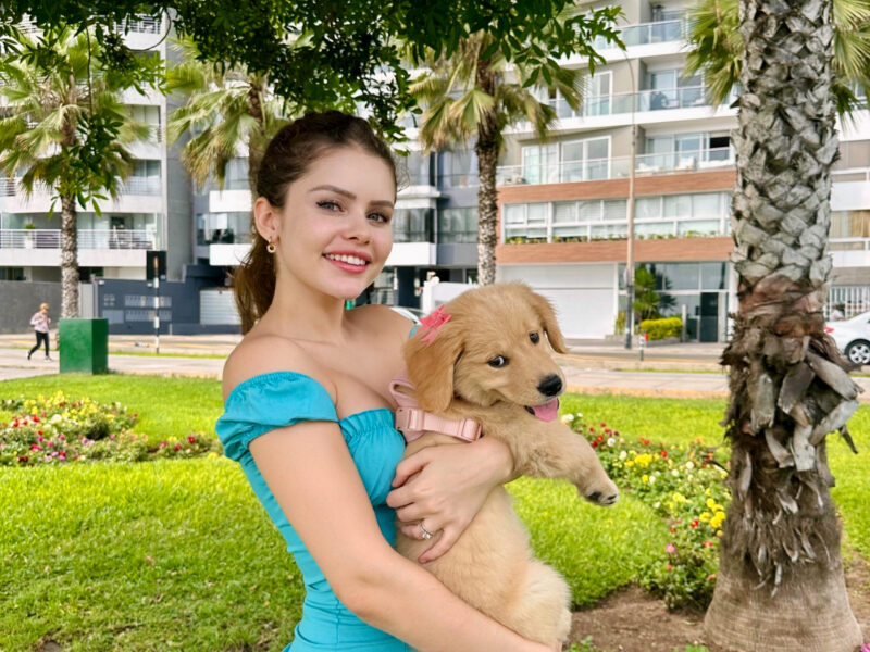 PetSitter à Genève (canton)