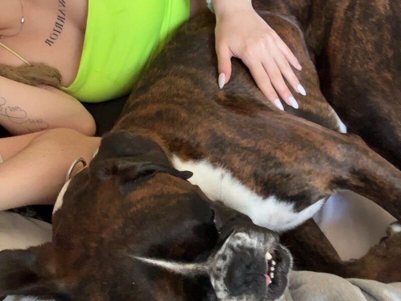 La Dogsitter Passionnée