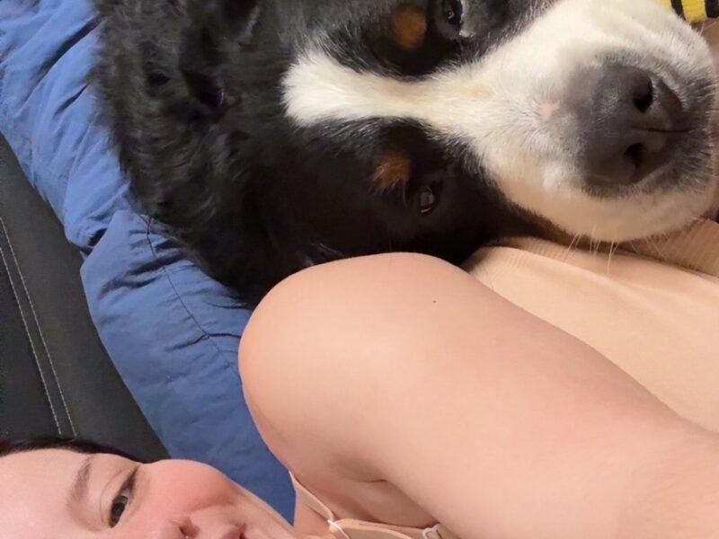 La Dogsitter Passionnée