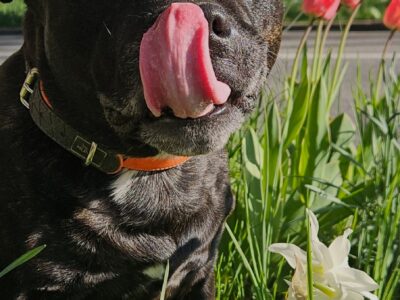 Je cherche une personne pour de la garde