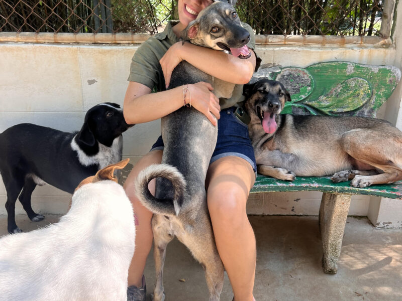 Petsitter à Colombier